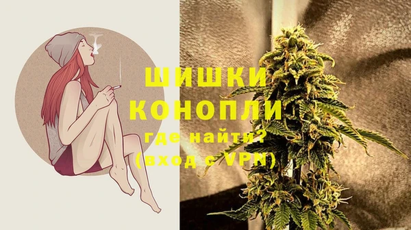 спайс Алзамай