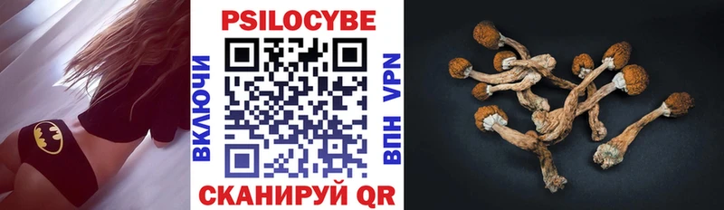 Галлюциногенные грибы Magic Shrooms  где можно купить наркотик  Звенигово 